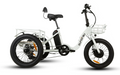All-New Trike 1.0