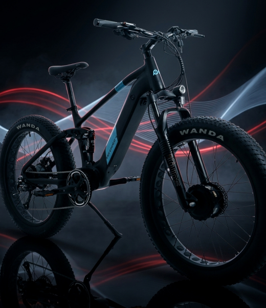 E-BIKES